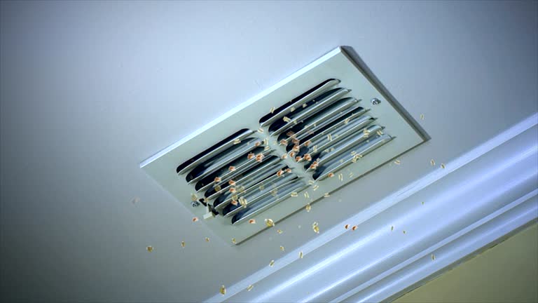 Best Emergency Air Duct Cleaning  in Ladera Ranch, CA