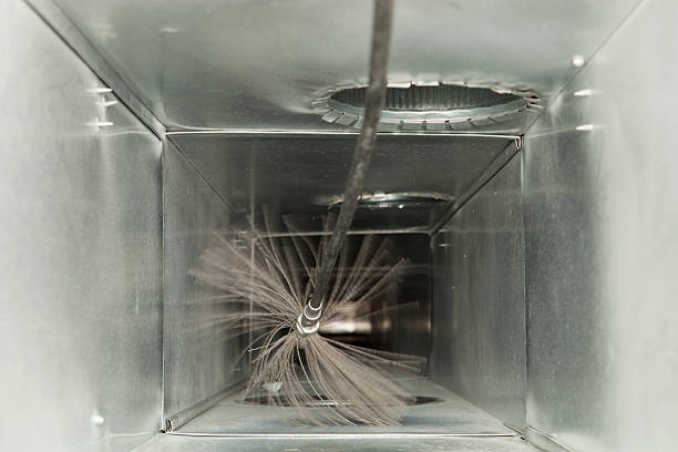 Best Air Duct Mold Removal  in Ladera Ranch, CA